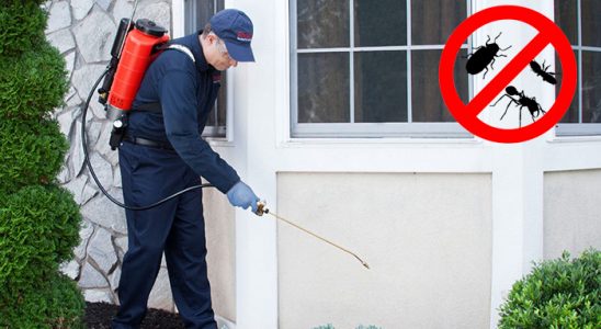 Şemikler Hamam Böceği İlaçlama böcek ilaçlama ve haşere kontrolü — ilaclama-tr.com
